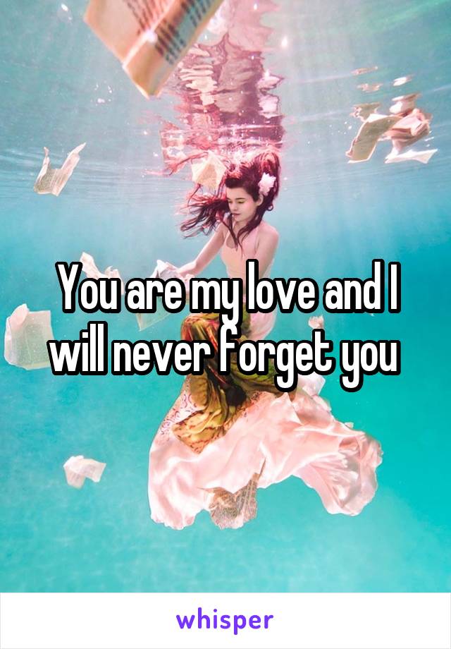 You are my love and I will never forget you 