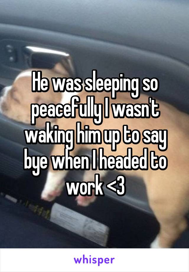 He was sleeping so peacefully I wasn't waking him up to say bye when I headed to work <3