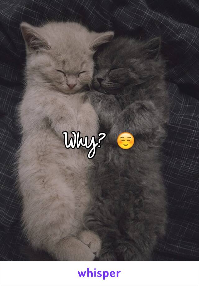 Why? ☺️