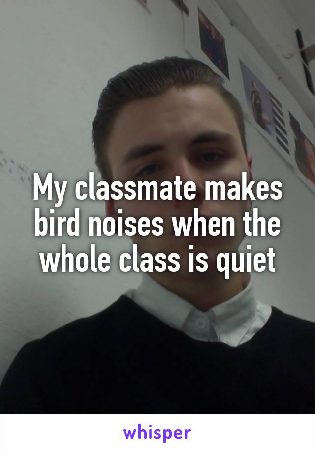 My classmate makes bird noises when the whole class is quiet