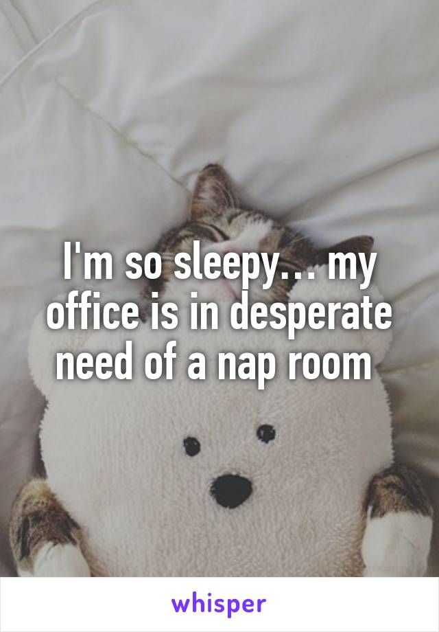 I'm so sleepy… my office is in desperate need of a nap room 