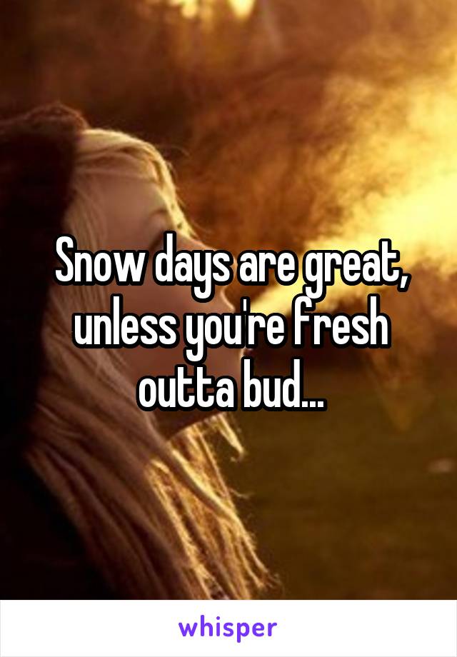 Snow days are great, unless you're fresh outta bud...