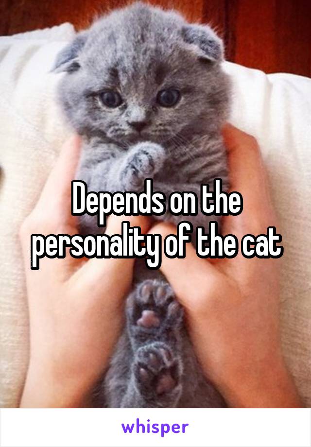 Depends on the personality of the cat