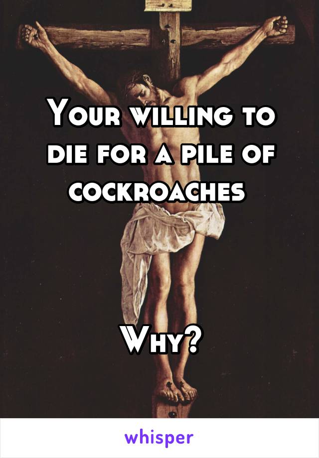 Your willing to die for a pile of cockroaches 



Why?