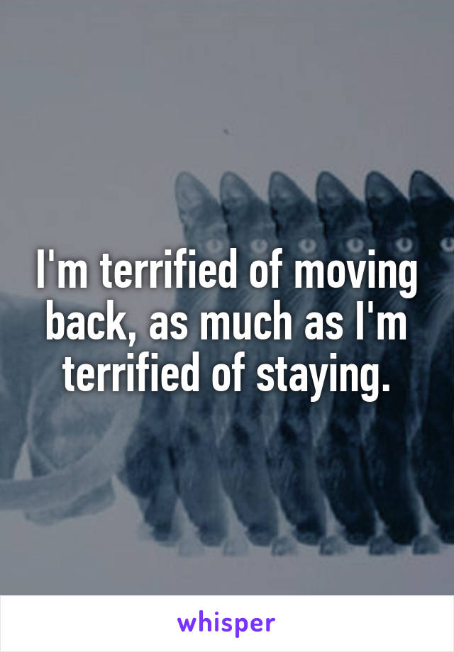 I'm terrified of moving back, as much as I'm terrified of staying.