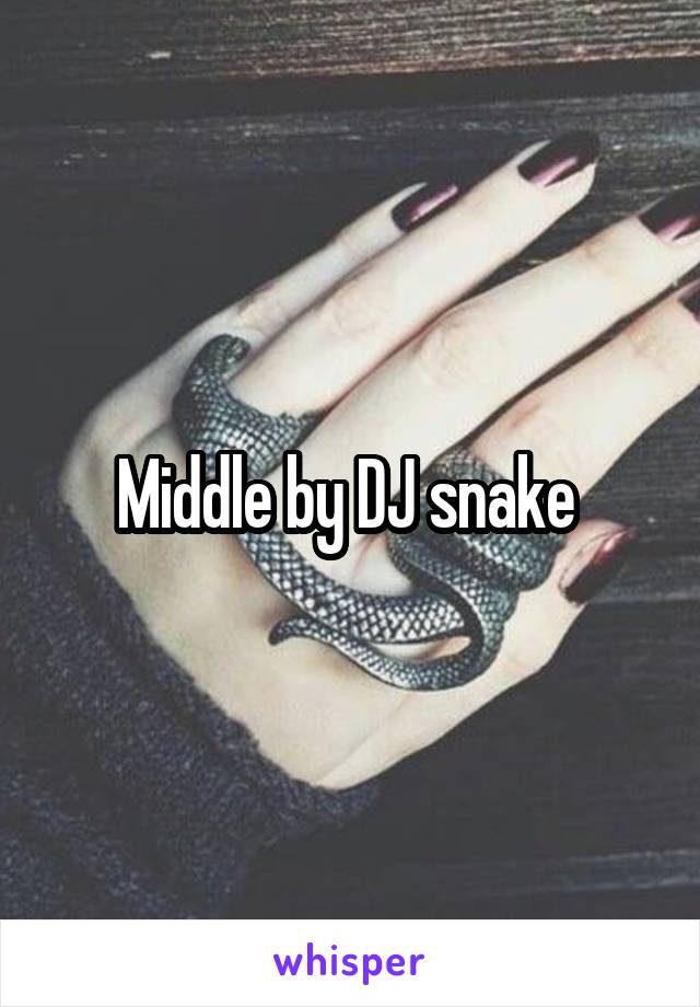 Middle by DJ snake 