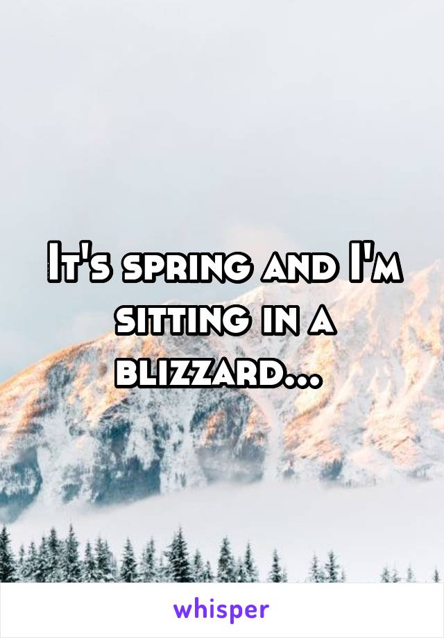 It's spring and I'm sitting in a blizzard... 