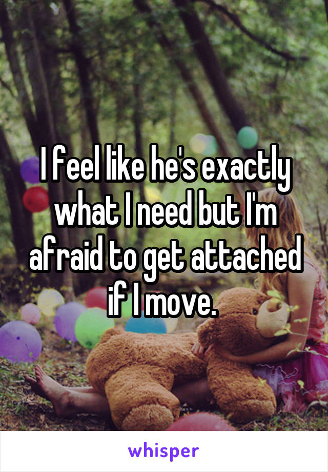 I feel like he's exactly what I need but I'm afraid to get attached if I move. 