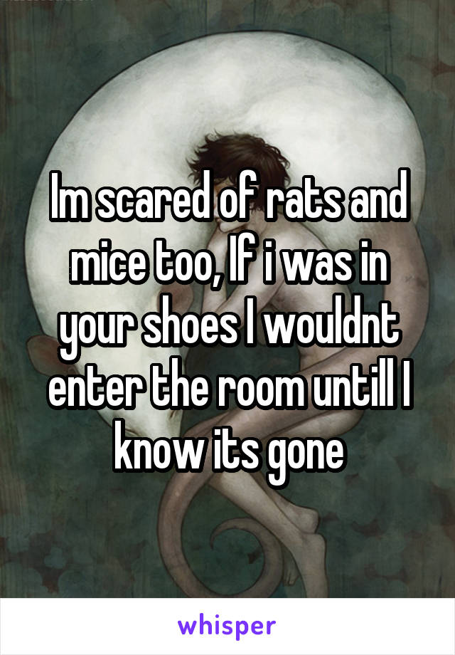 Im scared of rats and mice too, If i was in your shoes I wouldnt enter the room untill I know its gone