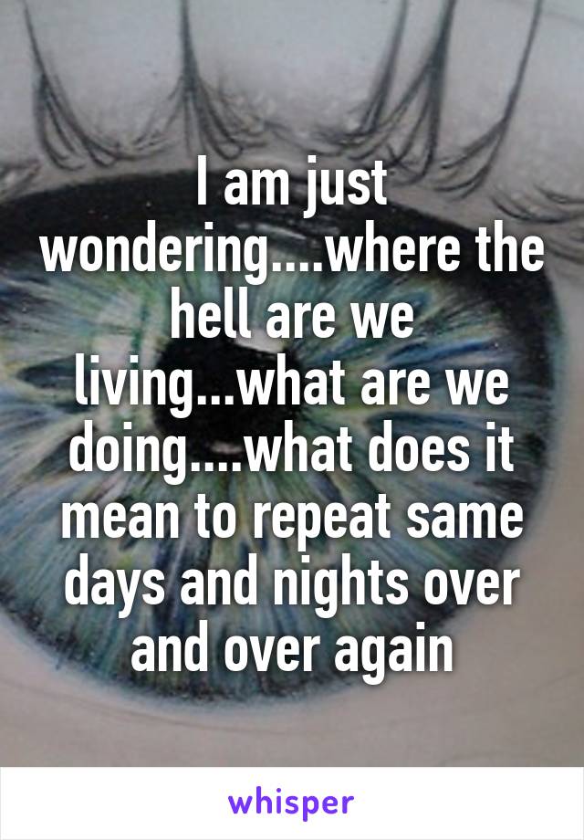 I am just wondering....where the hell are we living...what are we doing....what does it mean to repeat same days and nights over and over again