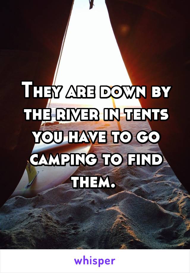 They are down by the river in tents you have to go camping to find them. 