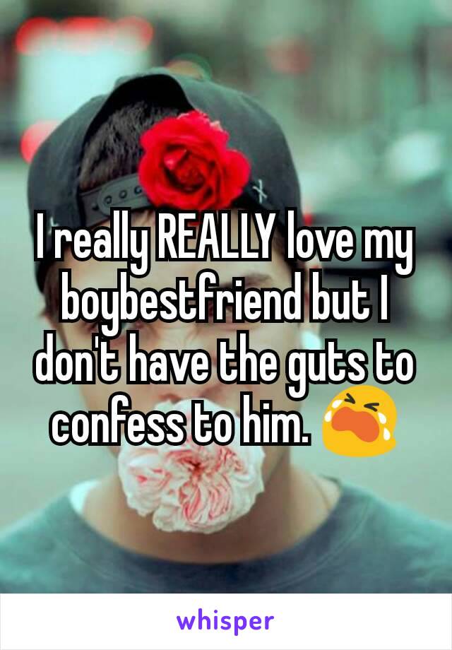 I really REALLY love my boybestfriend but I don't have the guts to confess to him. 😭