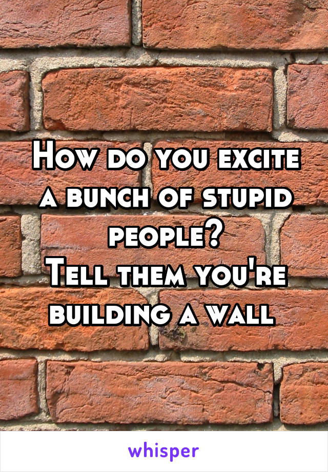 How do you excite a bunch of stupid people?
Tell them you're building a wall 