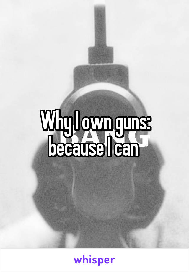 Why I own guns: because I can 