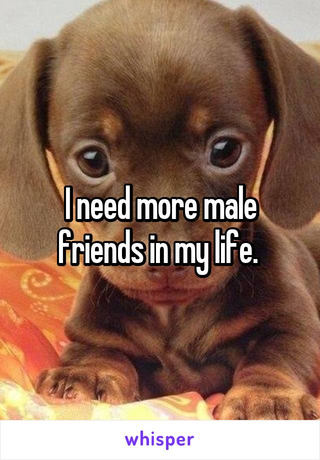 I need more male friends in my life. 