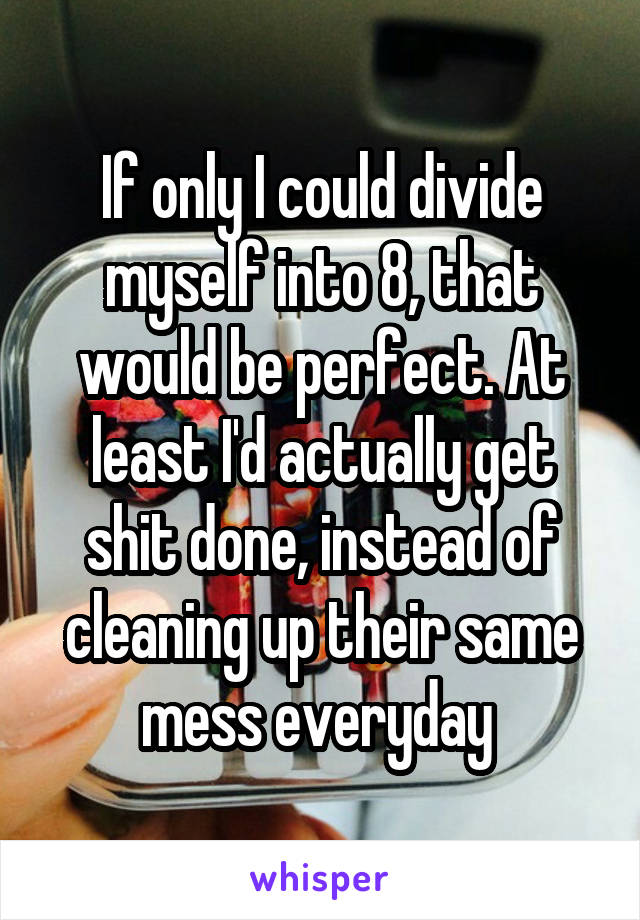 If only I could divide myself into 8, that would be perfect. At least I'd actually get shit done, instead of cleaning up their same mess everyday 