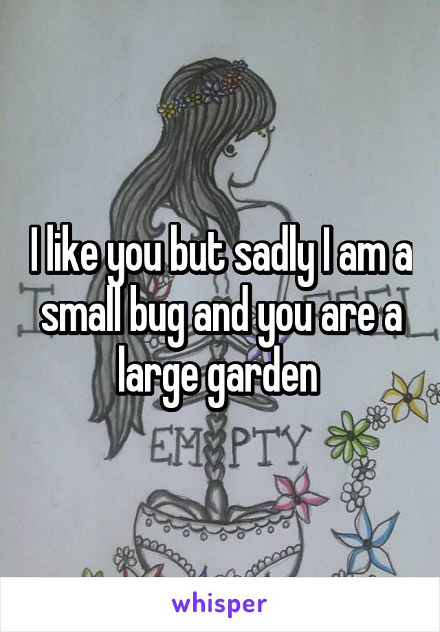 I like you but sadly I am a small bug and you are a large garden 