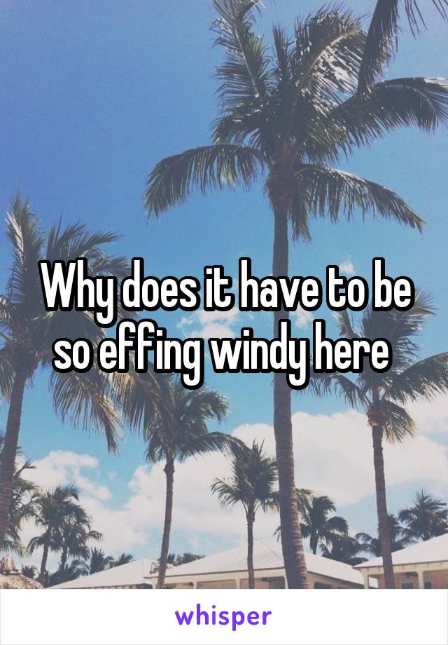 Why does it have to be so effing windy here 