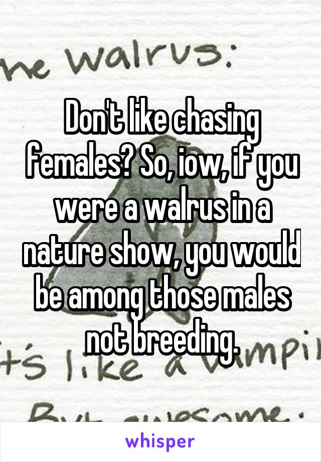 Don't like chasing females? So, iow, if you were a walrus in a nature show, you would be among those males not breeding.