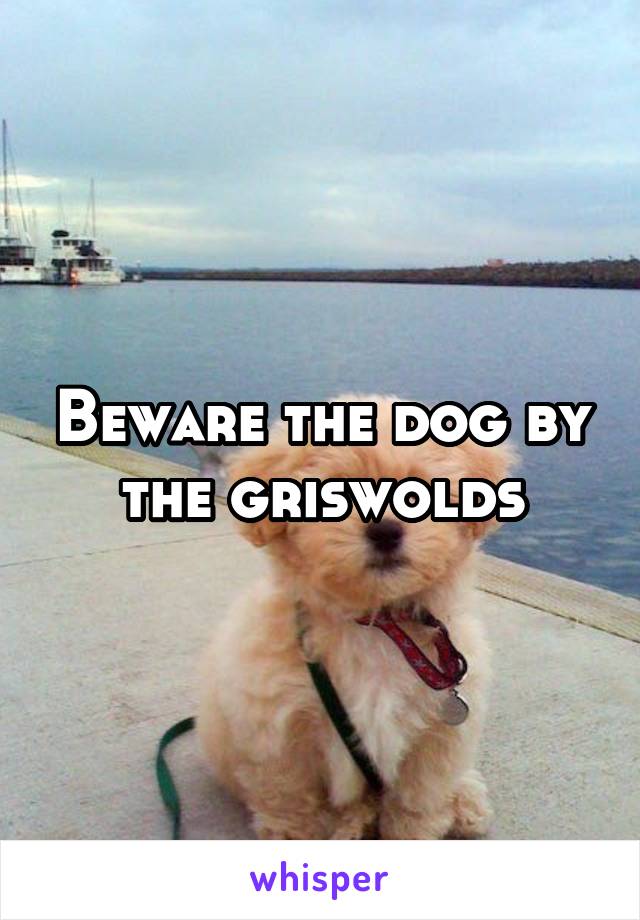 Beware the dog by the griswolds