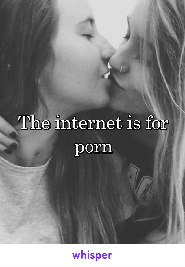 The internet is for porn