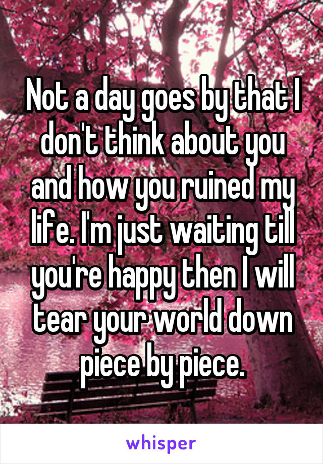 Not a day goes by that I don't think about you and how you ruined my life. I'm just waiting till you're happy then I will tear your world down piece by piece.