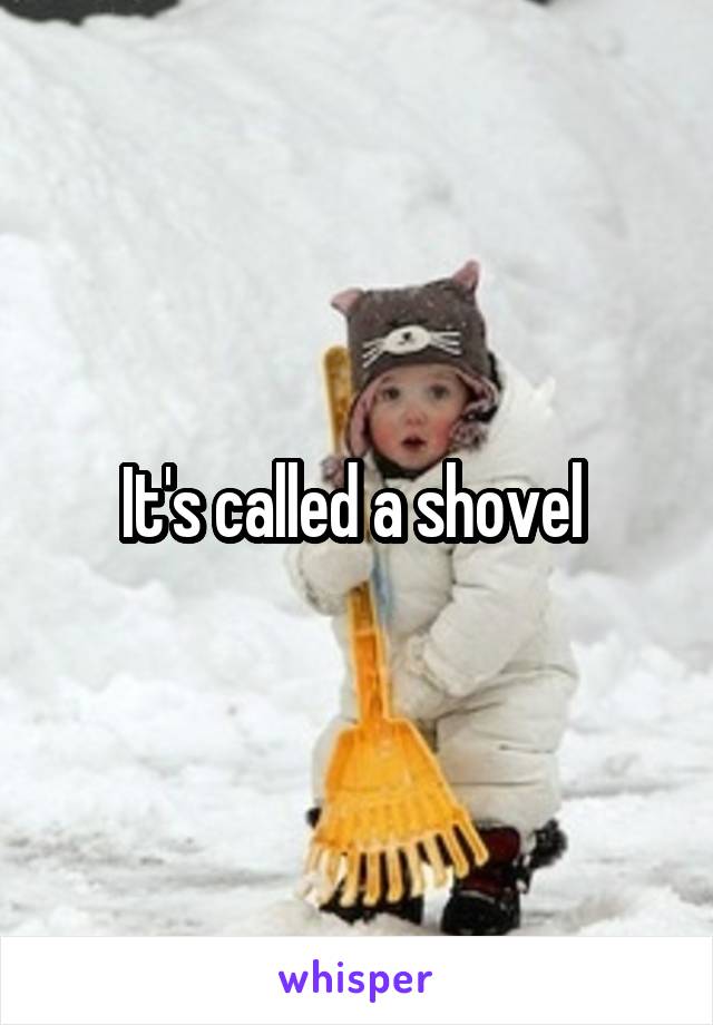 It's called a shovel 