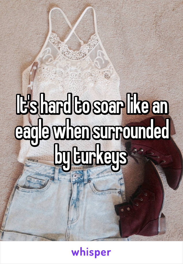 It's hard to soar like an eagle when surrounded by turkeys 