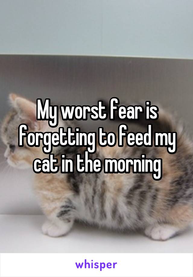 My worst fear is forgetting to feed my cat in the morning