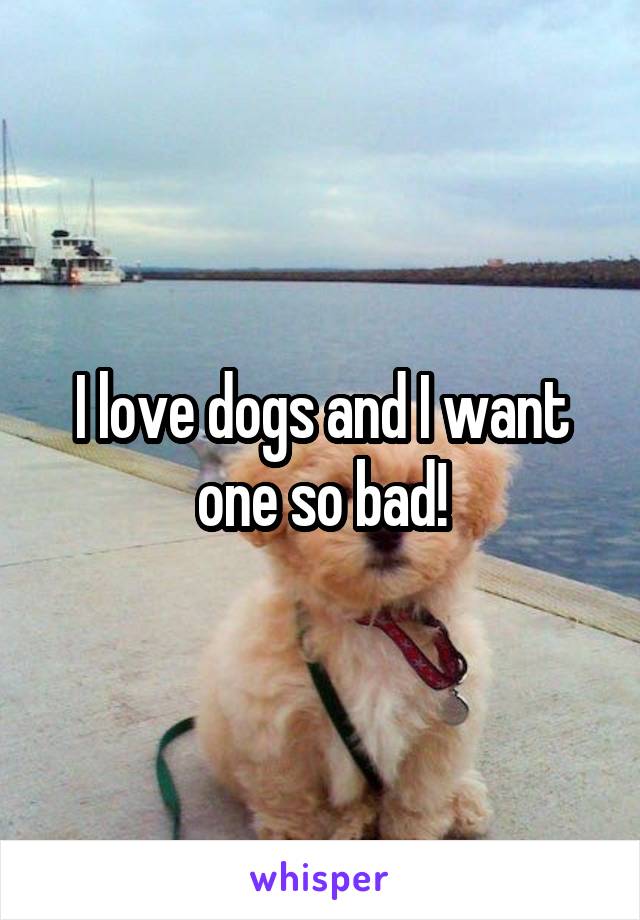 I love dogs and I want one so bad!