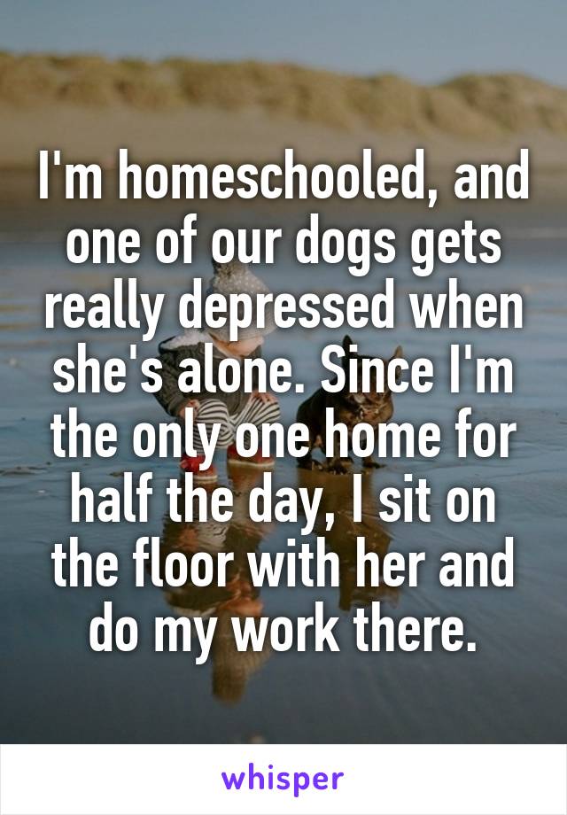 I'm homeschooled, and one of our dogs gets really depressed when she's alone. Since I'm the only one home for half the day, I sit on the floor with her and do my work there.