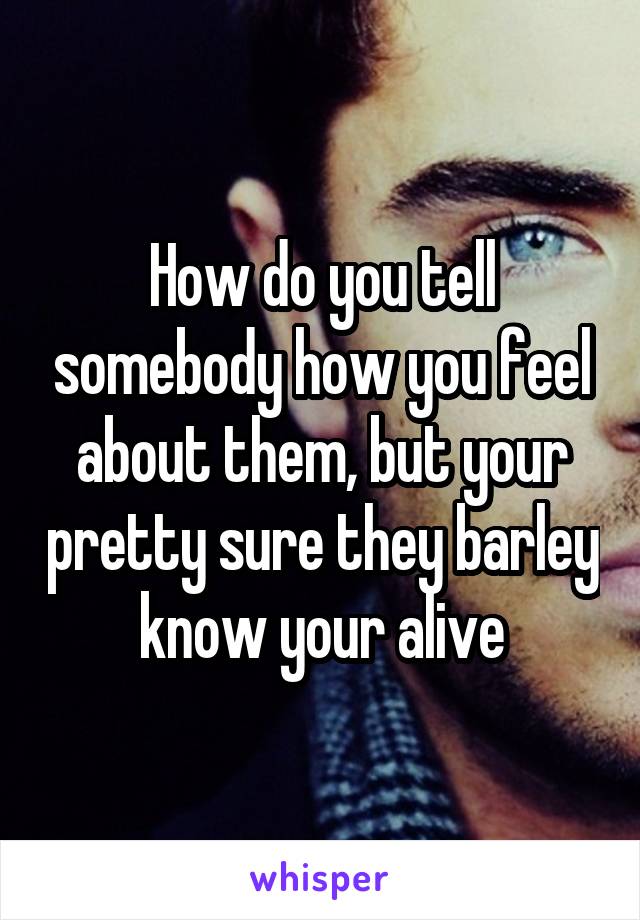 How do you tell somebody how you feel about them, but your pretty sure they barley know your alive