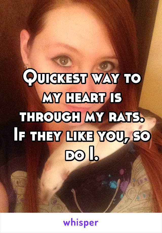 Quickest way to my heart is through my rats. If they like you, so do I.