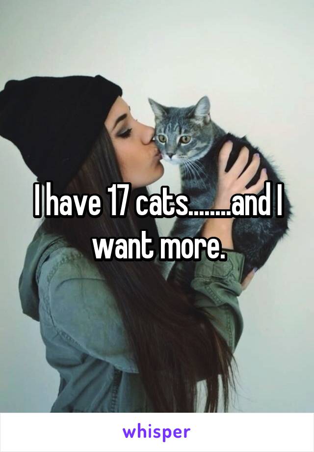 I have 17 cats........and I want more.