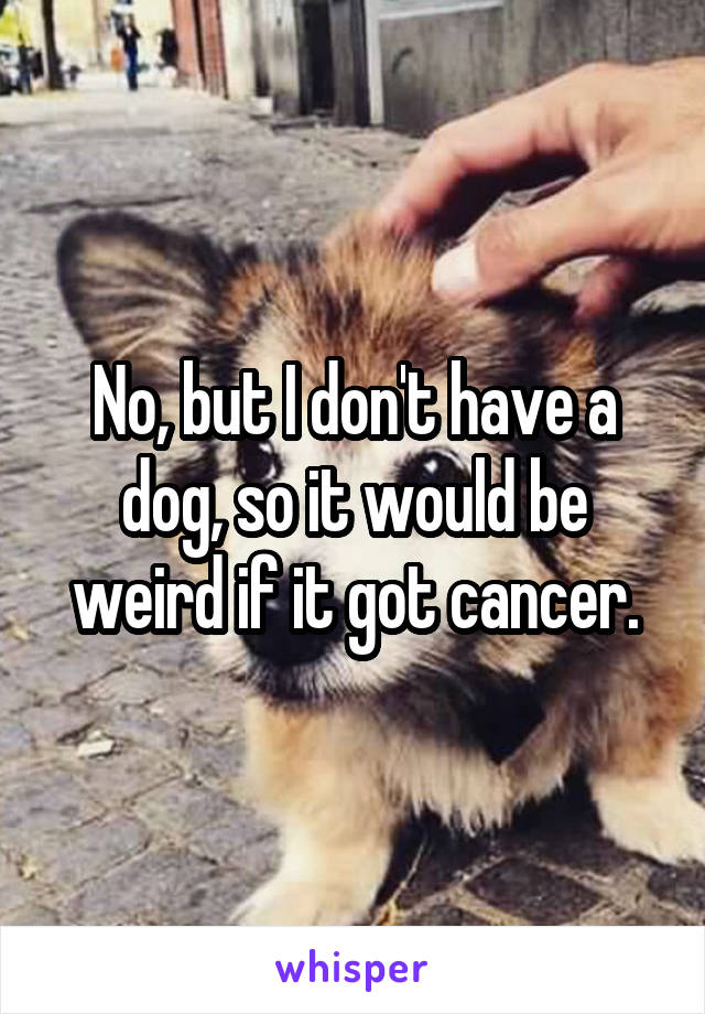 No, but I don't have a dog, so it would be weird if it got cancer.