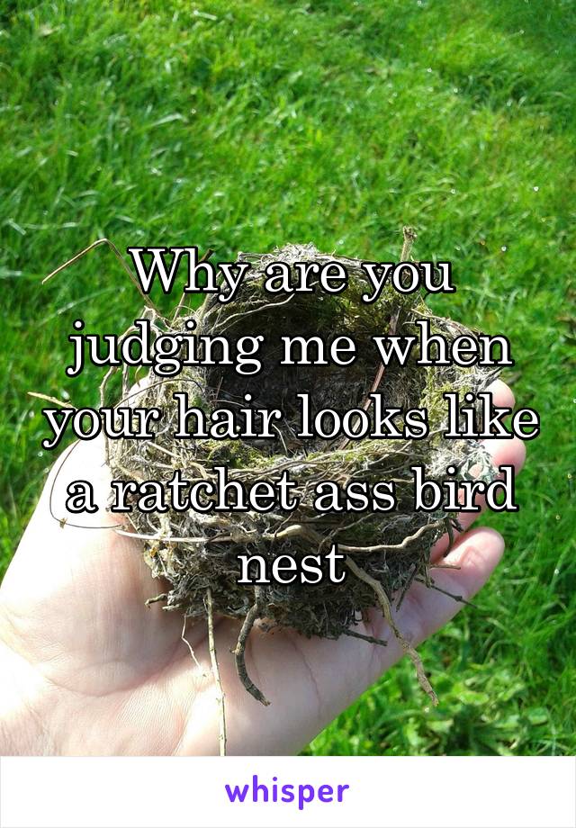 Why are you judging me when your hair looks like a ratchet ass bird nest