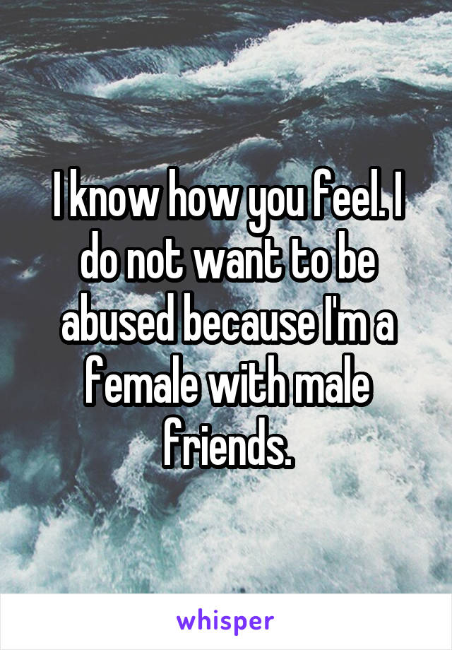 I know how you feel. I do not want to be abused because I'm a female with male friends.