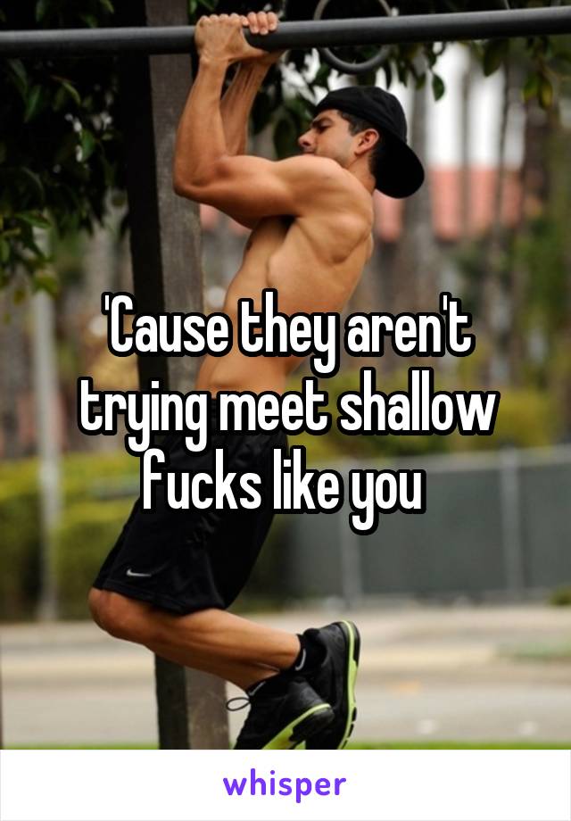 'Cause they aren't trying meet shallow fucks like you 