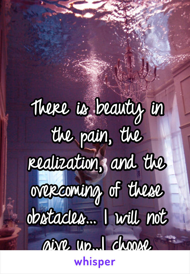 



There is beauty in the pain, the realization, and the overcoming of these obstacles... I will not give up...I choose
Life.