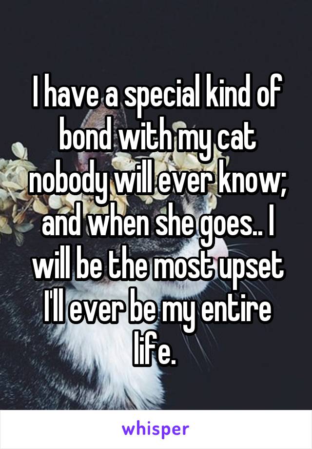 I have a special kind of bond with my cat nobody will ever know; and when she goes.. I will be the most upset I'll ever be my entire life. 