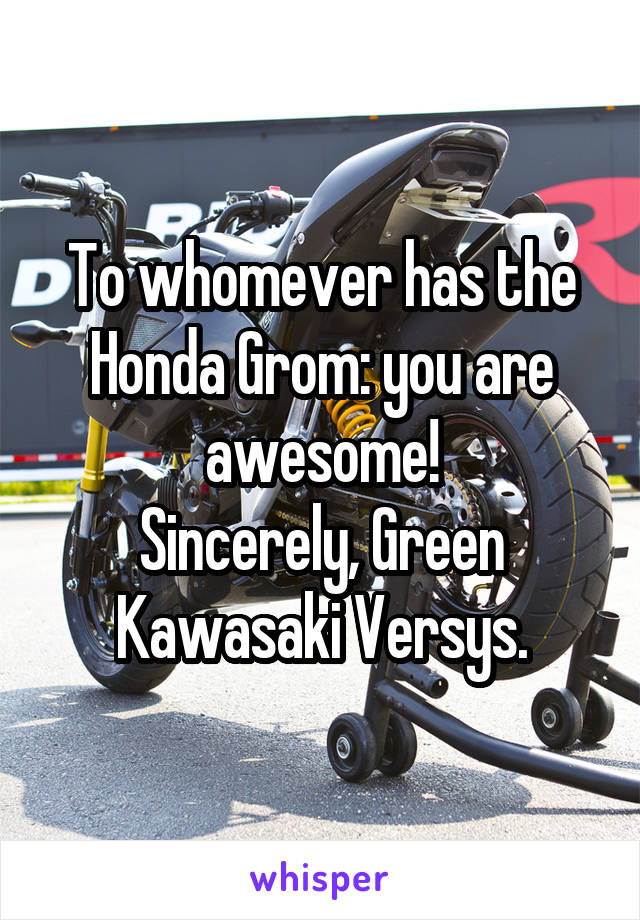 To whomever has the Honda Grom: you are awesome!
Sincerely, Green Kawasaki Versys.