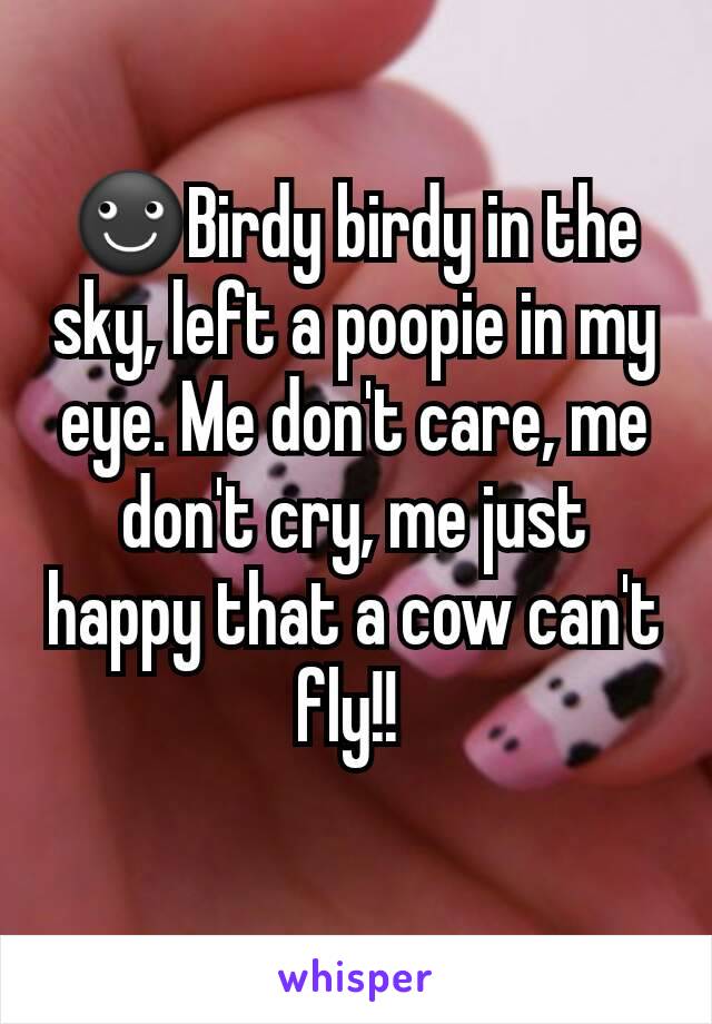 ☻Birdy birdy in the sky, left a poopie in my eye. Me don't care, me don't cry, me just happy that a cow can't fly!! 
