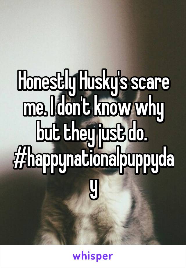 Honestly Husky's scare me. I don't know why but they just do. 
#happynationalpuppyday