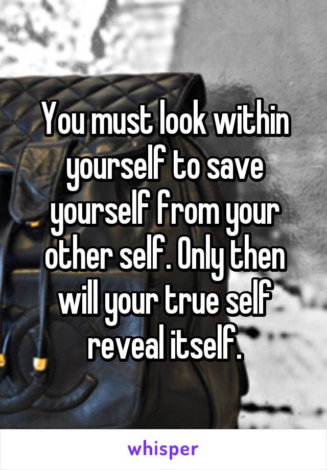 
You must look within yourself to save yourself from your other self. Only then will your true self reveal itself.
