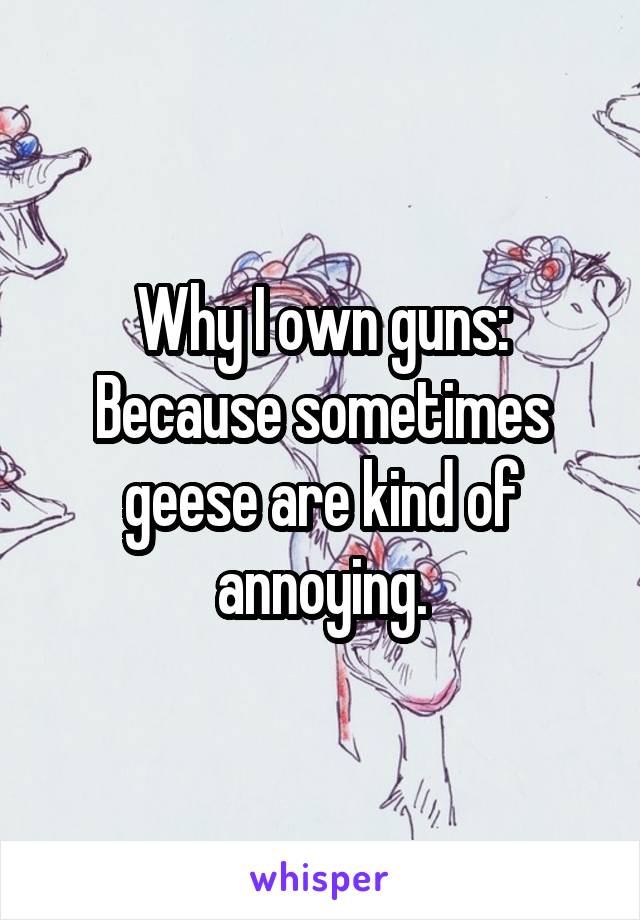 Why I own guns: Because sometimes geese are kind of annoying.