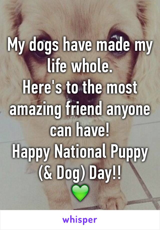 My dogs have made my life whole. 
Here's to the most amazing friend anyone can have! 
Happy National Puppy (& Dog) Day!!
💚