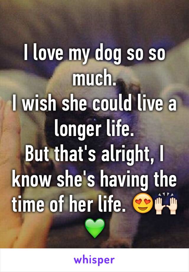 I love my dog so so much. 
I wish she could live a longer life. 
But that's alright, I know she's having the time of her life. 😍🙌🏻💚