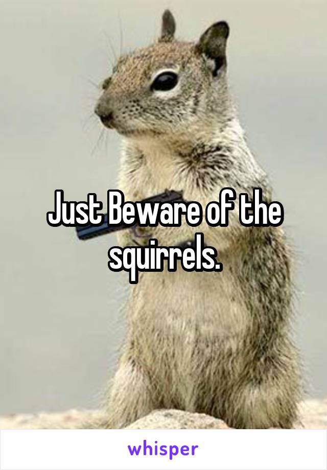 Just Beware of the squirrels.
