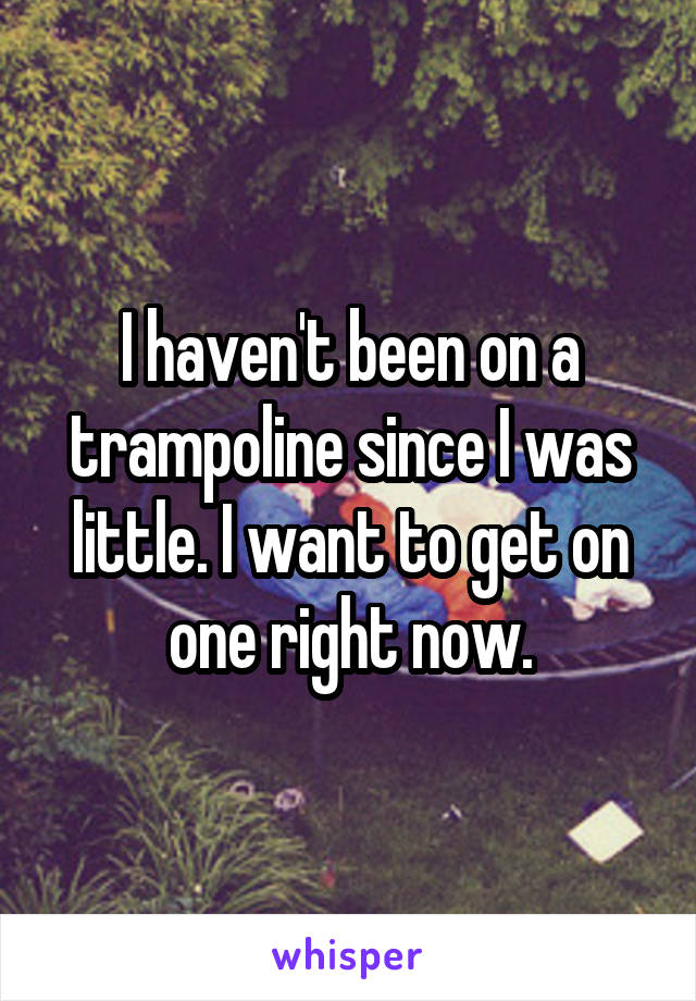 I haven't been on a trampoline since I was little. I want to get on one right now.