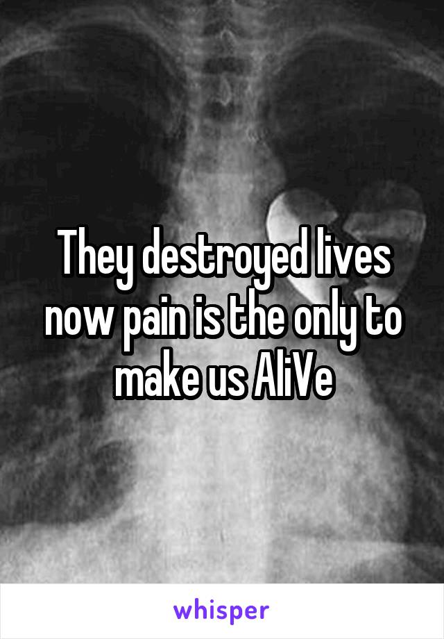 They destroyed lives now pain is the only to make us AliVe